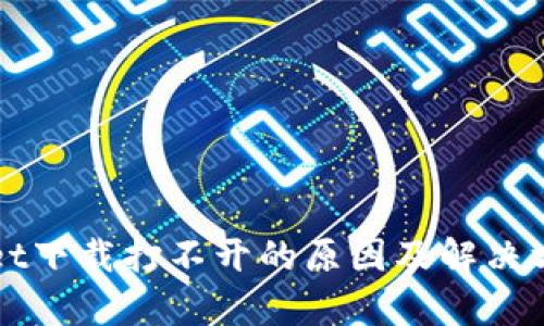 tpWallet下载打不开的原因及解决方法解析