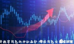 揭开数字钱包的神秘面纱