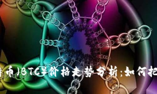 2023年比特币（BTC）价格走势分析：如何把握投资机会