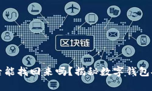 tpWallet被盗后能找回来吗？揭秘数字钱包安全与补救措施