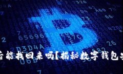 tpWallet被盗后能找回来吗？