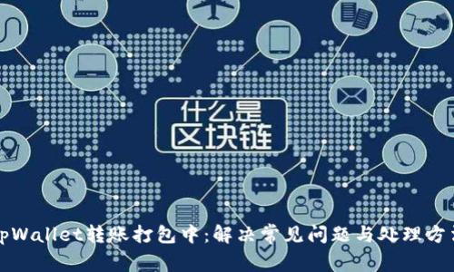 tpWallet转账打包中：解决常见问题与处理方法