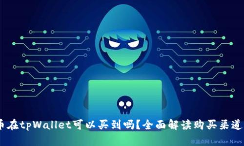 :中本聪币在tpWallet可以买到吗？全面解读购买渠道与安全性