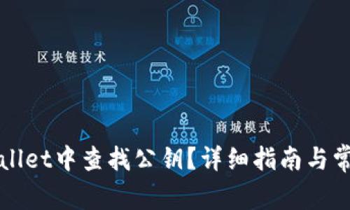 如何在tpWallet中查找公钥？详细指南与常见问题解答