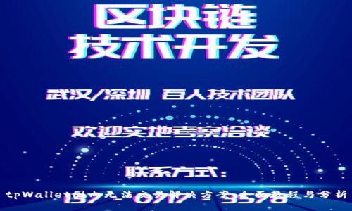 tpWallet国内无法交易解决方案：全面教程与分析
