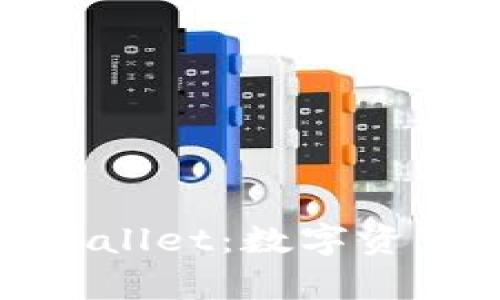 全面解析tpWallet：数字资产管理新选择