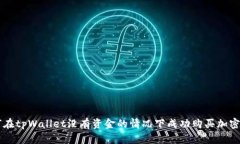 如何在tpWallet没有资金的情