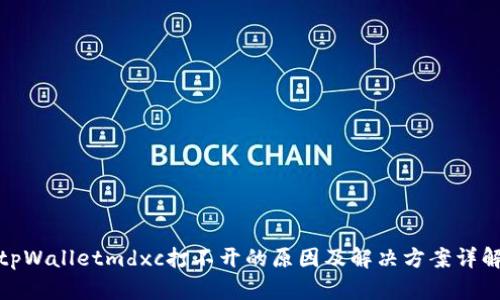 tpWalletmdxc打不开的原因及解决方案详解