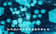 如何在比特派中查看和管