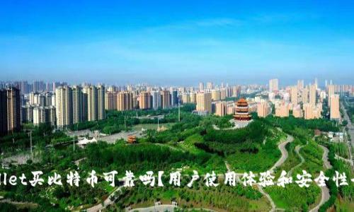 tpWallet买比特币可靠吗？用户使用体验和安全性全解析