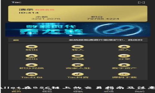 tpWallet在BSC链上的交易指南及注意事项