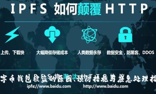 数字币钱包被盗的原因、预防措施与应急处理指南