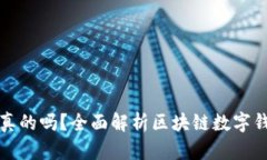 区块链数字钱包是真的吗