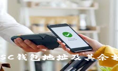 如何查看BSC钱包地址及其余额：详细指南