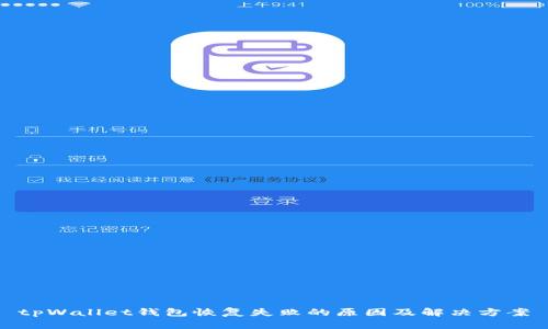 tpWallet钱包恢复失败的原因及解决方案