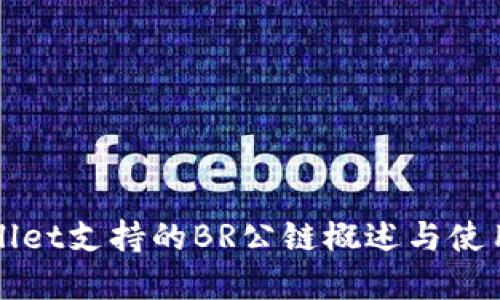 tpWallet支持的BR公链概述与使用指南