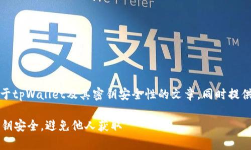 在这里，我们将为您撰写关于tpWallet及其密钥安全性的文章，同时提供相关的关键词和问题讨论。

tpWallet：如何保护您的密钥安全，避免他人获取