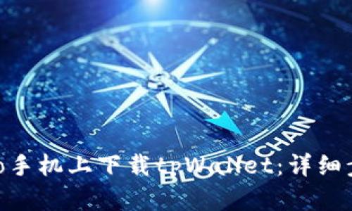 如何在vivo手机上下载tpWallet：详细步骤与指南