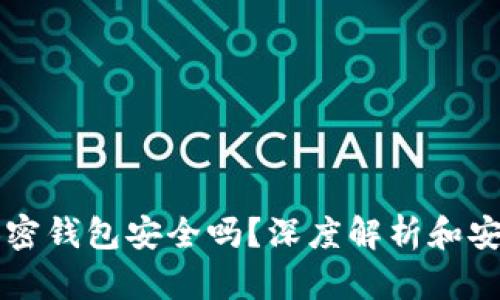 美国加密钱包安全吗？深度解析和安全指南