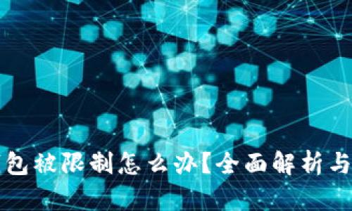 区块链钱包被限制怎么办？全面解析与解决方案