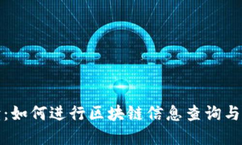 全面解读：如何进行区块链信息查询与实用技巧