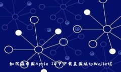 如何在中国Apple ID下下载美