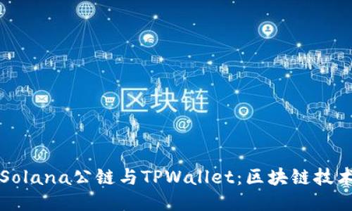 深入探讨Solana公链与TPWallet：区块链技术的新纪元