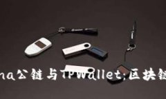 深入探讨Solana公链与TPWa