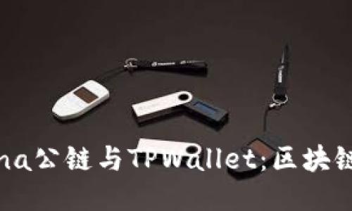 深入探讨Solana公链与TPWallet：区块链技术的新纪元