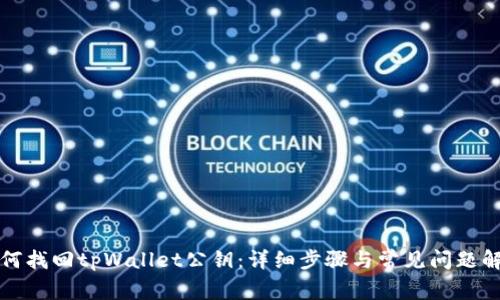 如何找回tpWallet公钥：详细步骤与常见问题解答