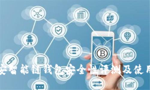 TP币安智能链钱包安全性评测及使用指南