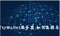 深入探讨tpWallet服务商：如