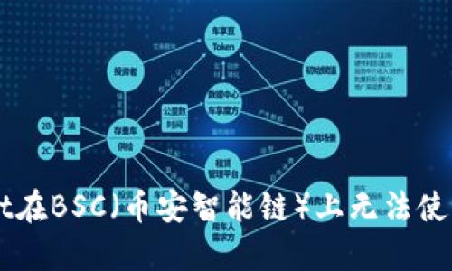 解决tpWallet在BSC（币安智能链）上无法使用的问题指南
