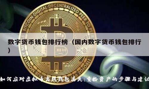 如何应对虚拟币离线钱包丢失：重拾资产的步骤与建议
