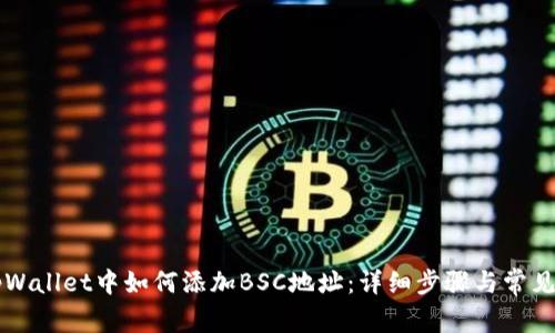 电脑版tpWallet中如何添加BSC地址：详细步骤与常见问题解析