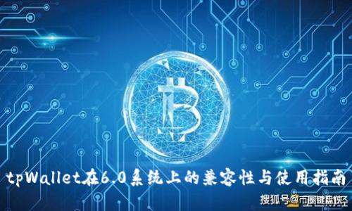 tpWallet在6.0系统上的兼容性与使用指南