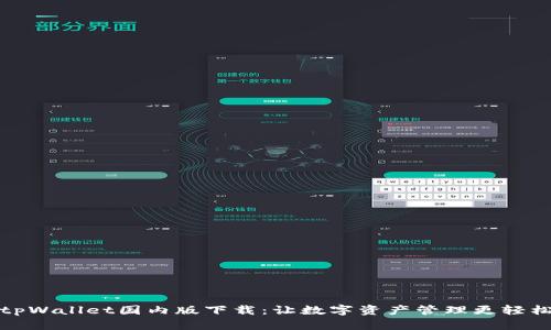 tpWallet国内版下载：让数字资产管理更轻松