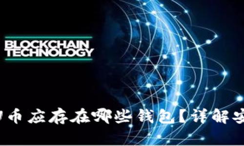 : 区块链U币应存在哪些钱包？详解安全与选择