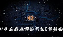 : 区块链U币应存在哪些钱