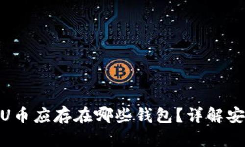 : 区块链U币应存在哪些钱包？详解安全与选择