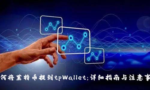 如何将莱特币提到tpWallet：详细指南与注意事项