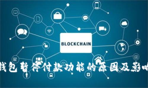 数字钱包暂停付款功能的原因及影响分析
