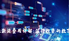 tpWallet激活费用详解：值得