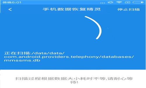 
如何找回tpWallet密码：详细步骤与解决方案