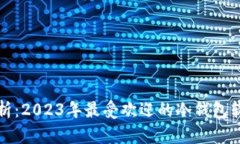 全面解析：2023年最受欢迎