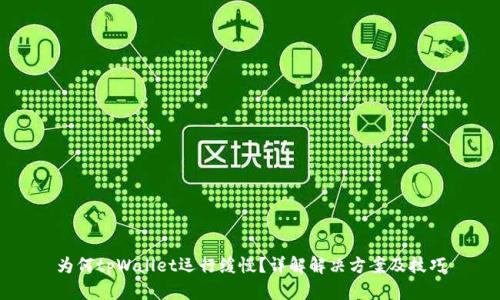 为何tpWallet运行缓慢？详解解决方案及技巧