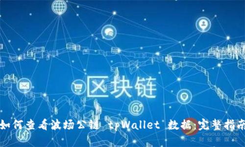 如何查看波场公链 tpWallet 数据：完整指南