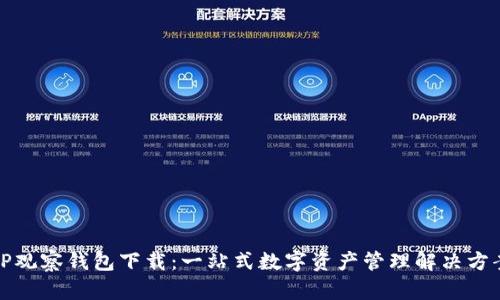 TP观察钱包下载：一站式数字资产管理解决方案