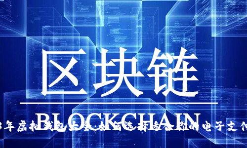 2023年虚拟钱包大全：如何选择适合你的电子支付工具