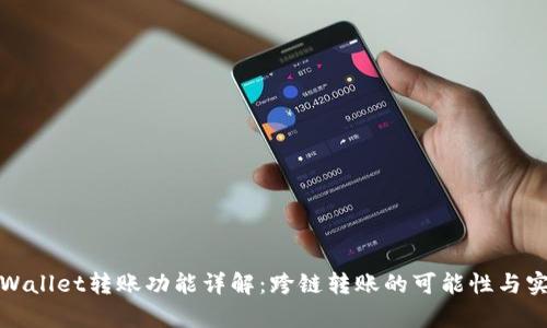tpWallet转账功能详解：跨链转账的可能性与实践